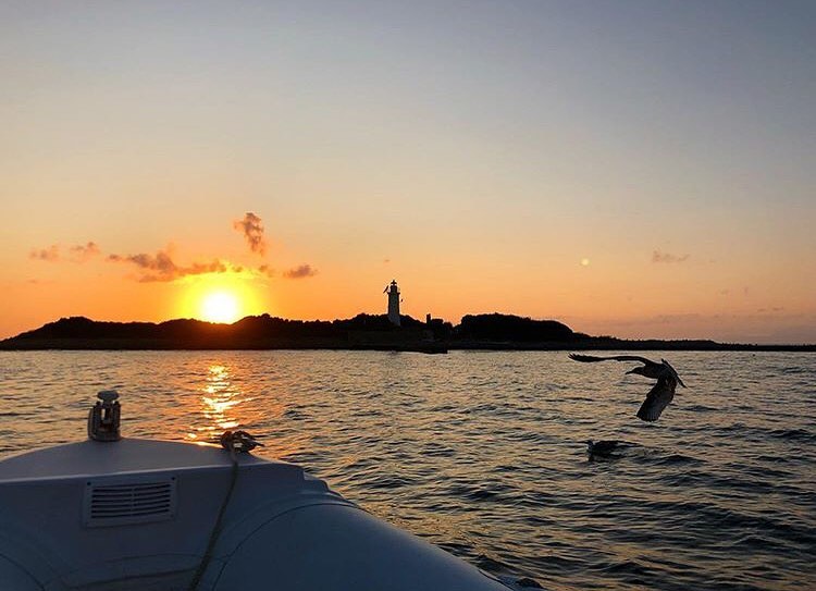Boat trip from Acciaroli to Licosa Island